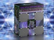 SALVIA COVER 1