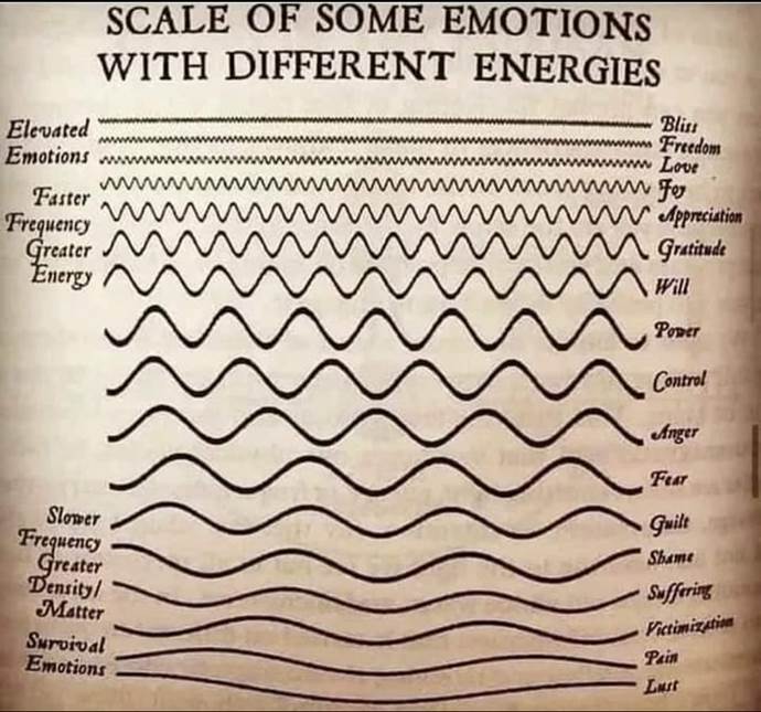 May be an image of text that says 'SCALE OF SOME EMOTIONS WITH DIFFERENT ENERGIES Elevated Emotions Faster Frequency Greater Energy Blis Freedom Love Fer Apprecistion Gratitude Will Power Slower Frequency Greater Density/ Matter Survival Emotions Contrel Anger Fuar Fear Guilt Shame Suffering Victimization Psin Lust'