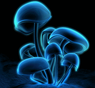 Magic Mushroom Glowing