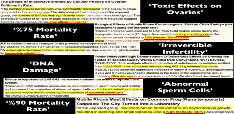 http://bcfreedom.files.wordpress.com/2012/09/screen-shot-2012-09-20-at-10-40-18-pm.png?w=748&h=365