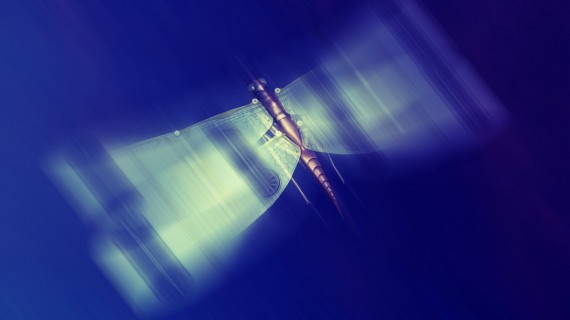 Robotic Dragonfly by Skeletox