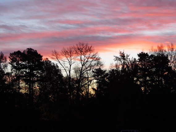 Pink-Clouds-sunset